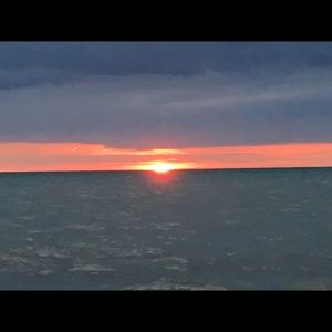 Meet your Posher, Phillip